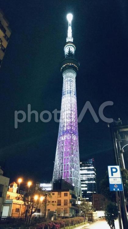 紫にライトアップされた東京スカイツリー 東京スカイツリー,ライトアップ,夜景の写真素材