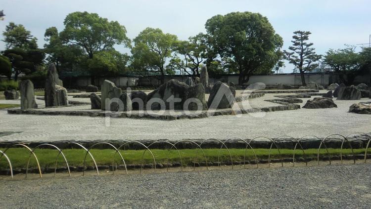 岸和田城の庭園 岸和田,岸和田城,庭園の写真素材