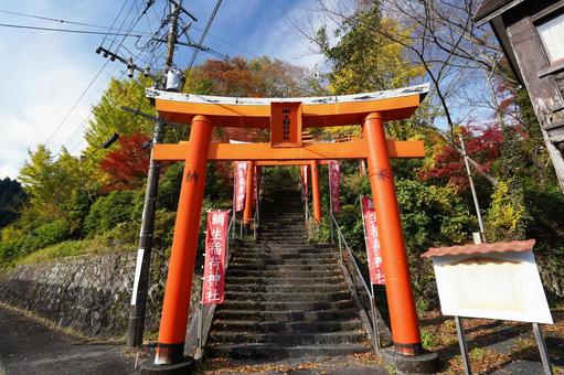 大分 鯛生金山 鯛生稲荷神社1 鯛生稲荷神社,鯛生金山,紅葉の写真素材