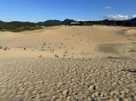 鳥取砂丘 鳥取砂丘 鳥取砂丘,砂丘,鳥取の写真素材
