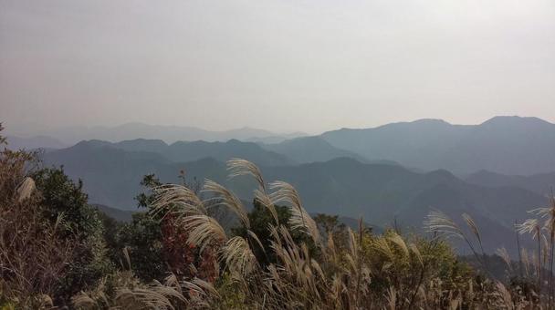 Japanese silver grass and mountain scenery, JPG