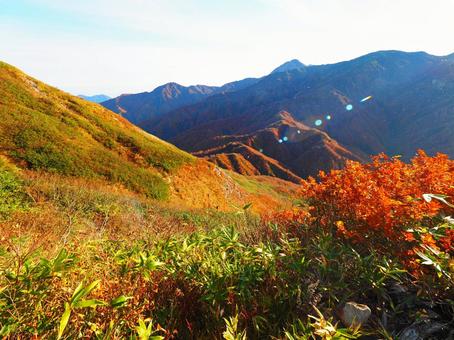 紅葉(雨飾山) 紅葉(雨飾山)の写真