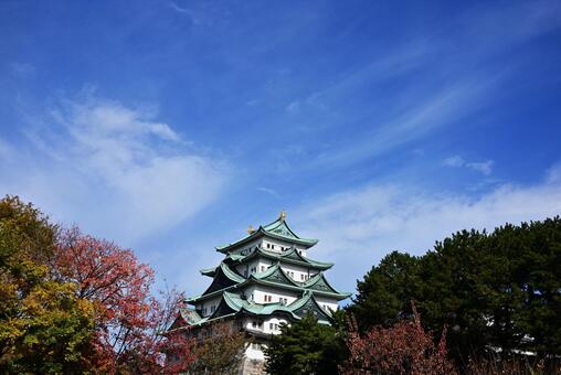 秋の空と名古屋城5 名古屋城,風景,城の写真素材