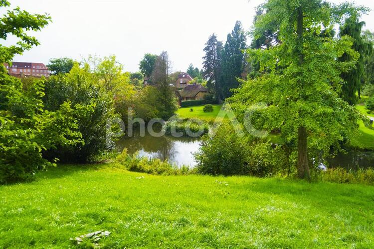 北欧の古い家と美しい緑 公園,美しい公園,日差しの写真素材