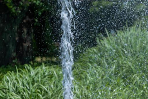 公園内の噴水 公園内の噴水の写真