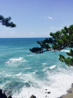 桂浜の海 桂浜の海 海,桂浜,波の写真素材