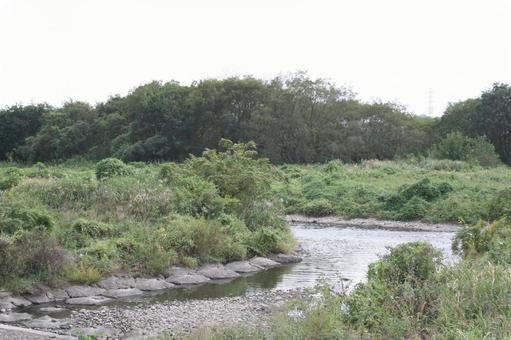 多摩川の風景 多摩川の風景の写真