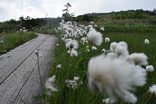 Photo, miao mountain, hundred mountains, watazuge, 