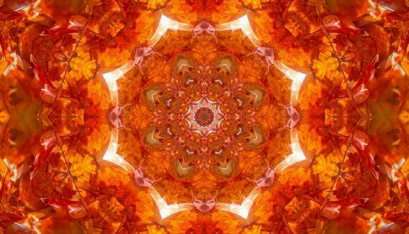 紅葉の万華鏡模様 紅葉の万華鏡模様の写真