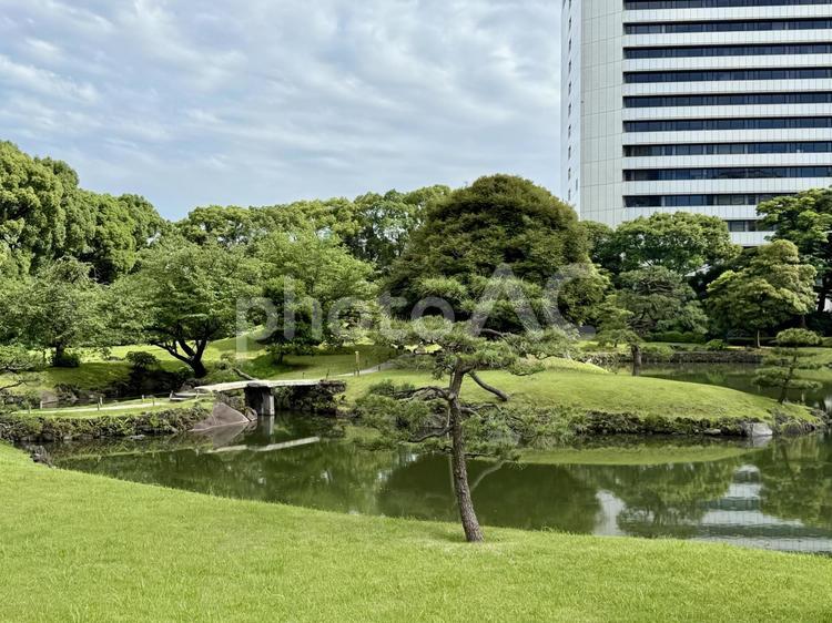 6月　旧芝離宮恩賜庭園 旧芝離宮恩賜庭園,都会の自然,6月の写真素材