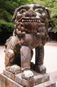 福岡県糸島の櫻井神社の狛犬 福岡県糸島の櫻井神社の狛犬の写真