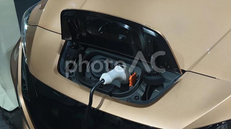 充電中の電気自動車　EVカー　ボンネット 自動車,充電,電気の写真素材