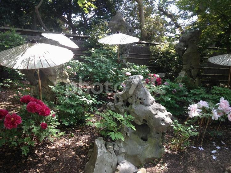 和の風景 風景,旧家,茶室の写真素材