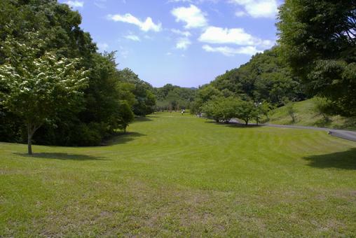 Photo, rasenplatz, gras, park, 