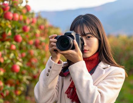 リンゴ畑・旅するカメラ女子 リンゴ畑・旅するカメラ女子の写真