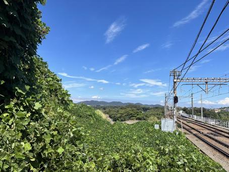 線路と自然 線路と自然 鉄道,線路,風景の写真素材