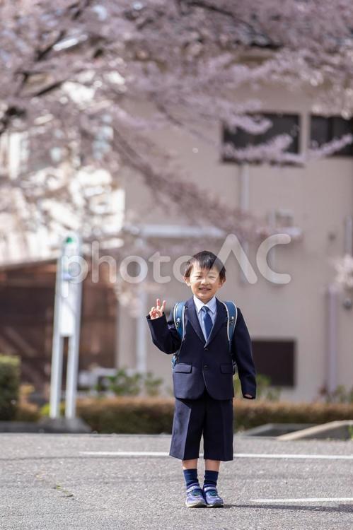 入学式の男の子　ceremony 入学式,入学,男の子の写真素材