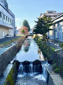 秋の朝方の用水路 秋,朝,日陰の写真素材