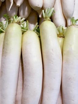野菜・ダイコン 野菜・ダイコンの写真