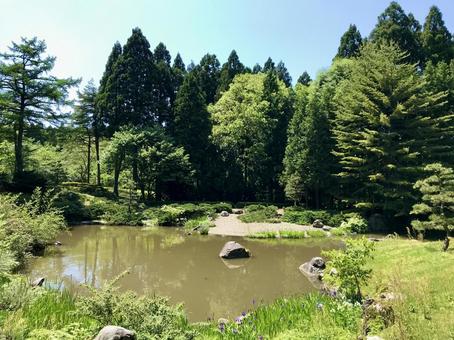 森林の中の池 森林の中の池 森,森林,自然の写真素材