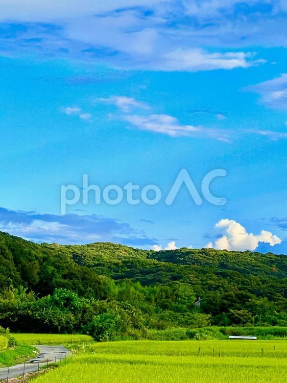 夏の風景 自然,風景,夏の写真素材
