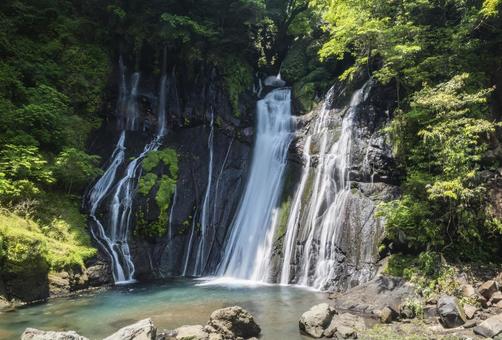 白水の滝_A 白水の滝_Aの写真