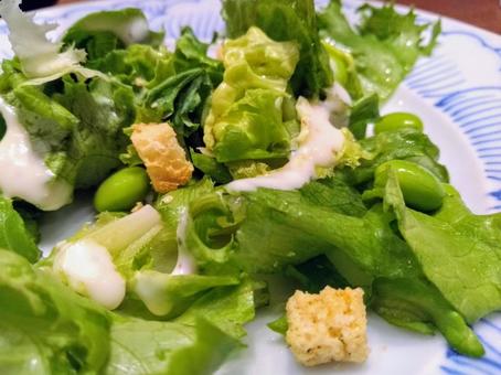 ヘルシーなグリーンサラダのアップ ヘルシーなグリーンサラダのアップ サラダ,グリーンサラダ,野菜の写真素材