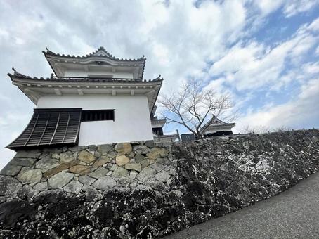 Photo, continent city, shikoku, iyo, 