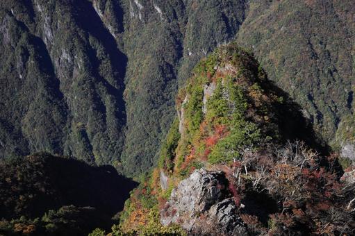 大台ヶ原　秋 大台ヶ原,秋,紅葉の写真素材