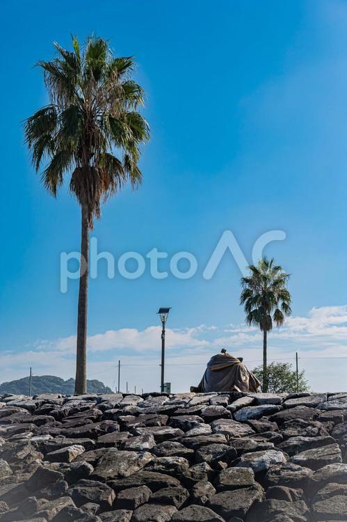 熊本県　宇土市　長部田海床路の風景 長部田海床路,宇土,海中道路の写真素材