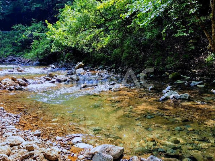 釣り堀 釣り堀,釣り,川の写真素材