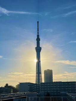 黄金の光に包まれるスカイツリー 黄金の光に包まれるスカイツリーの写真