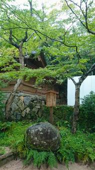 宝満宮 竈門神社の愛敬の岩 宝満宮 竈門神社の愛敬の岩 竈門神社,大宰府,愛敬の岩の写真素材