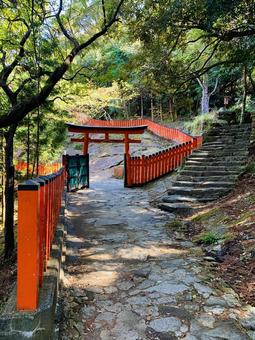 神倉神社 頂上付近 参道 神倉神社 頂上付近 参道 新宮市神倉,神倉神社,熊野信仰の発祥地の写真素材