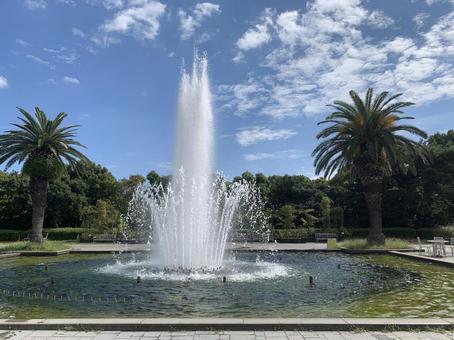 須磨 離宮公園 須磨 離宮公園 兵庫,神戸,須磨の写真素材