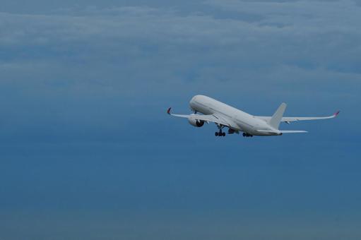 飛行機と空 飛行機,空,青空の写真素材