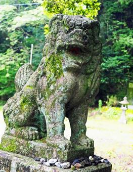 神社の人気者 狛犬 神社の人気者 狛犬 コマイヌ,門番,左右の写真素材