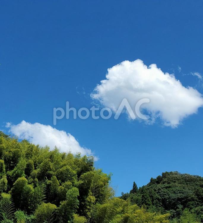 青空の白い雲と竹林 夏,初夏,真夏の写真素材