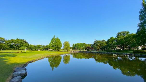 朝の北部公園(金沢市):11 朝の北部公園(金沢市):11 公園,春,夏の写真素材