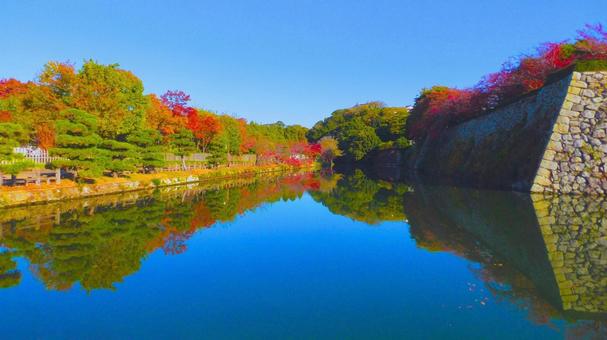 姫路城 堀2 姫路城,白鷺城,紅葉の写真素材