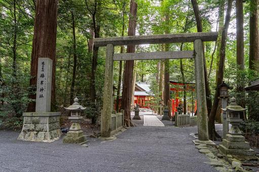 三重　椿大神社　椿岸神社　鳥居 椿大神社,椿,神社の写真素材