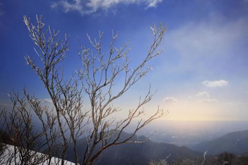 御在所岳　樹氷 御在所岳,樹氷,雪山の写真素材