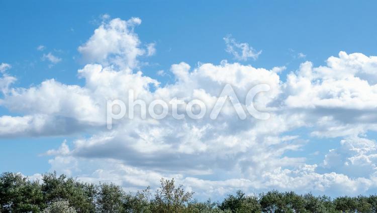爽やかな空と一面の雲 もくもくの雲,もくもく,青空の写真素材