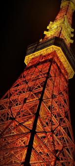 東京タワー 東京タワーの写真