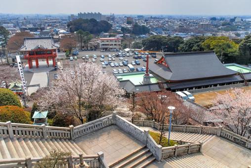 犬山市 犬山成田山から望む街と桜（愛知） 犬山成田山,成田山,寺院の写真素材