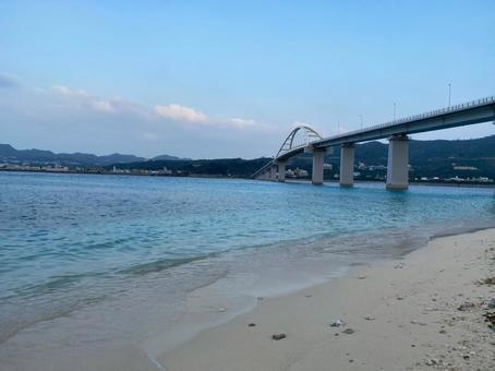 海 橋 海 橋の写真