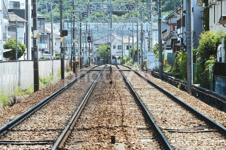 線路の風景 線路,踏切,レールの写真素材