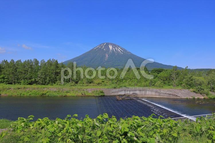残雪がわずかに残る羊蹄山(川西ビューポイント) 羊蹄山,夏,緑の写真素材