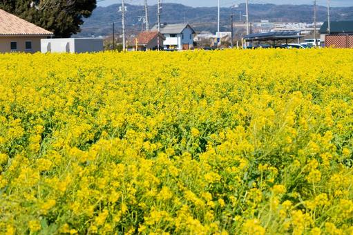 風景 風景の写真