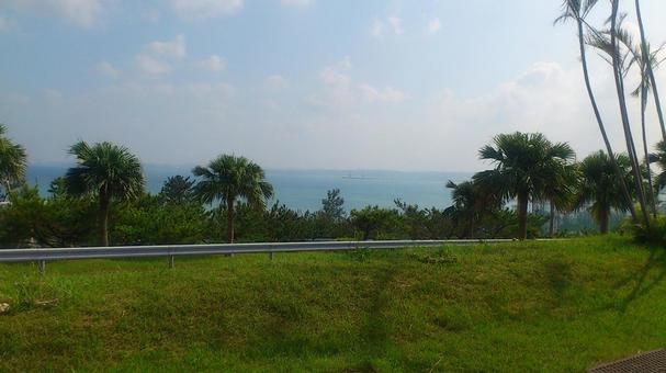 沖縄風景2 沖縄風景2の写真